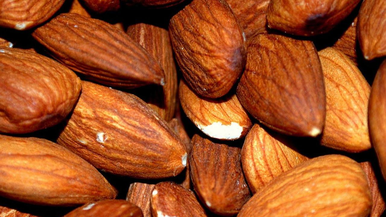 10 Manfaat Rendaman Kacang Almond untuk Anak, Mendukung Perkembangan Otak