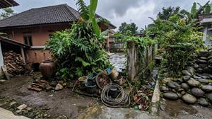 9 Bagian Halaman Rumah yang Berpotensi Jadi Tempat Persembunyian Ular saat Musim Hujan