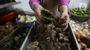 Pedagang menata jahe merah yang dijual di Pasar Rumput, Jakarta, Kamis (5/3/2020). Akibat merebaknya wabah virus corona, harga jahe merah melonjak di pasar itu dan dijual dengan harga Rp 95.000/kg. (Liputan6.com/Angga Yuniar)