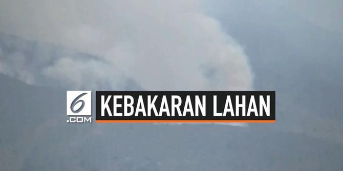 VIDEO: 115 Hektar Lahan di Gunung Merbabu Terbakar