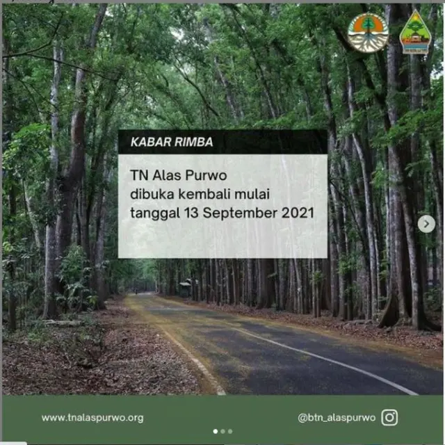 Taman Nasional Alas Purwo Kembali Dibuka, Apa Persyaratan untuk Berkunjung?