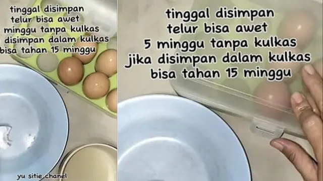 Tidak Busuk dan Tahan hingga 5 Minggu, Begini Trik Simpan Telur Tanpa Masuk Kulkas