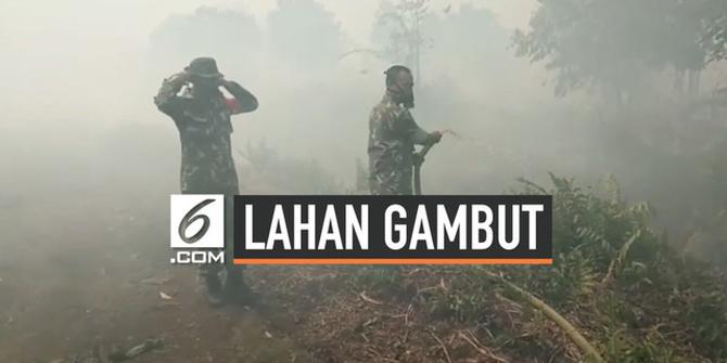 VIDEO: 80 Hektare Lahan Gambut Terbakar di Mempawah