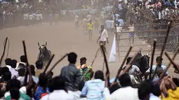 Suasana saat Festival Jallikattu di Desa Palamedu, India, Kamis (9/2). Berbeda dengan tradisi Spanyol yang bertarung dengan banteng, Jallikattu tidak membunuh binatang tersebut, hanya menjinakkan. (AFP PHOTO / ARUN Sankar)