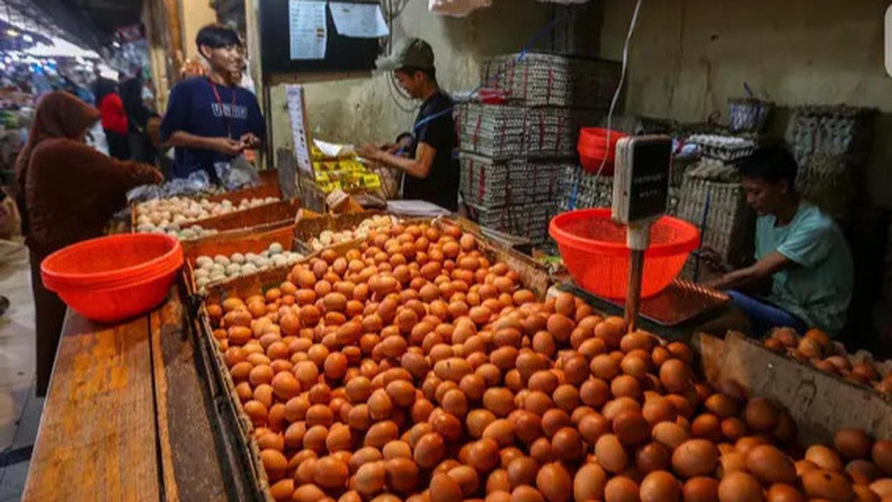 Indonesia Jadikan Telur Alat Negosiasi Tarif Trump ke Amerika Serikat
