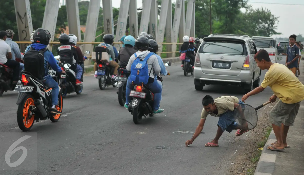 Dua orang bocah berebut mengambil uang yang dilempar pengguna jalan di Jembatan Cikalong, Jawa Barat, Sabtu (2/7). Memasuki mudik Lebaran, jumlah pencari uang sedekah di kawasan itu meningkat dibanding hari biasa (Liputan6.com/Gempur M Surya)