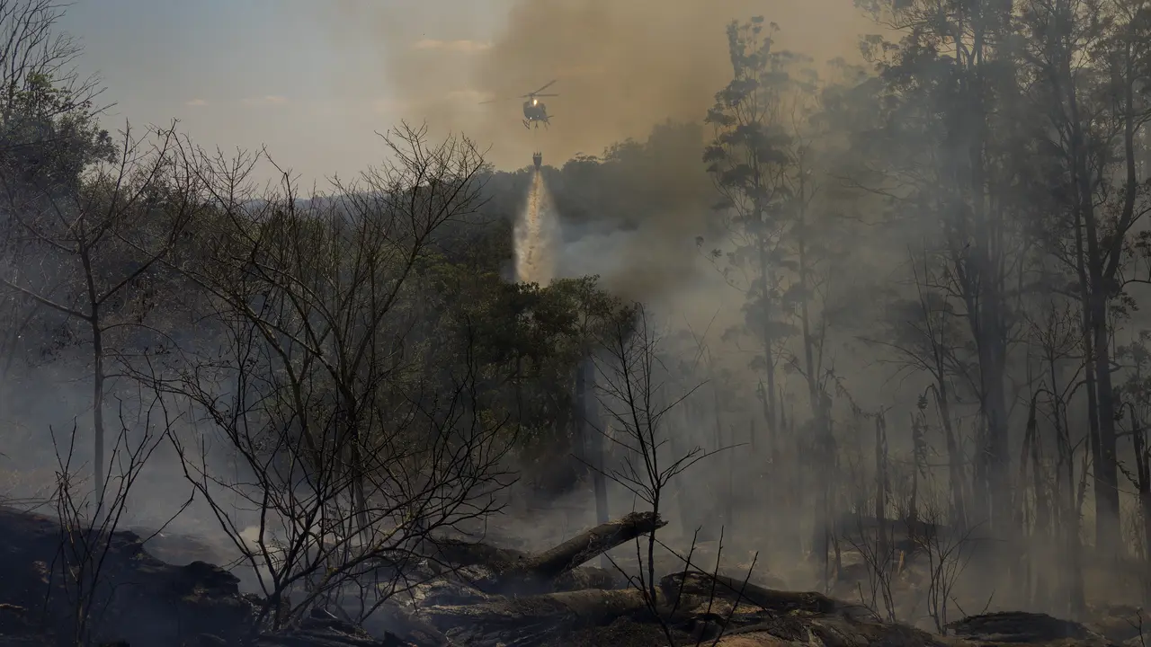 Taman di Brasil Terbakar
