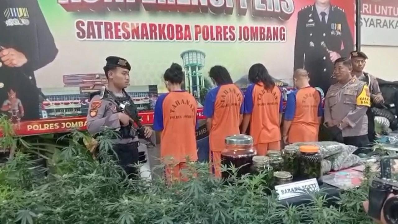 Terungkap, Peneliti Ini Jadi Otak di Balik Kebun Ganja di Jombang