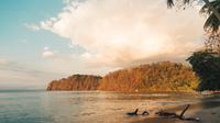 Ilustrasi Pantai (freepik)