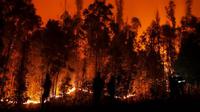 Kebakaran hutan di Chile, Sabtu (4/2/2023).&nbsp;(Dok. AFP/Javier Torres)