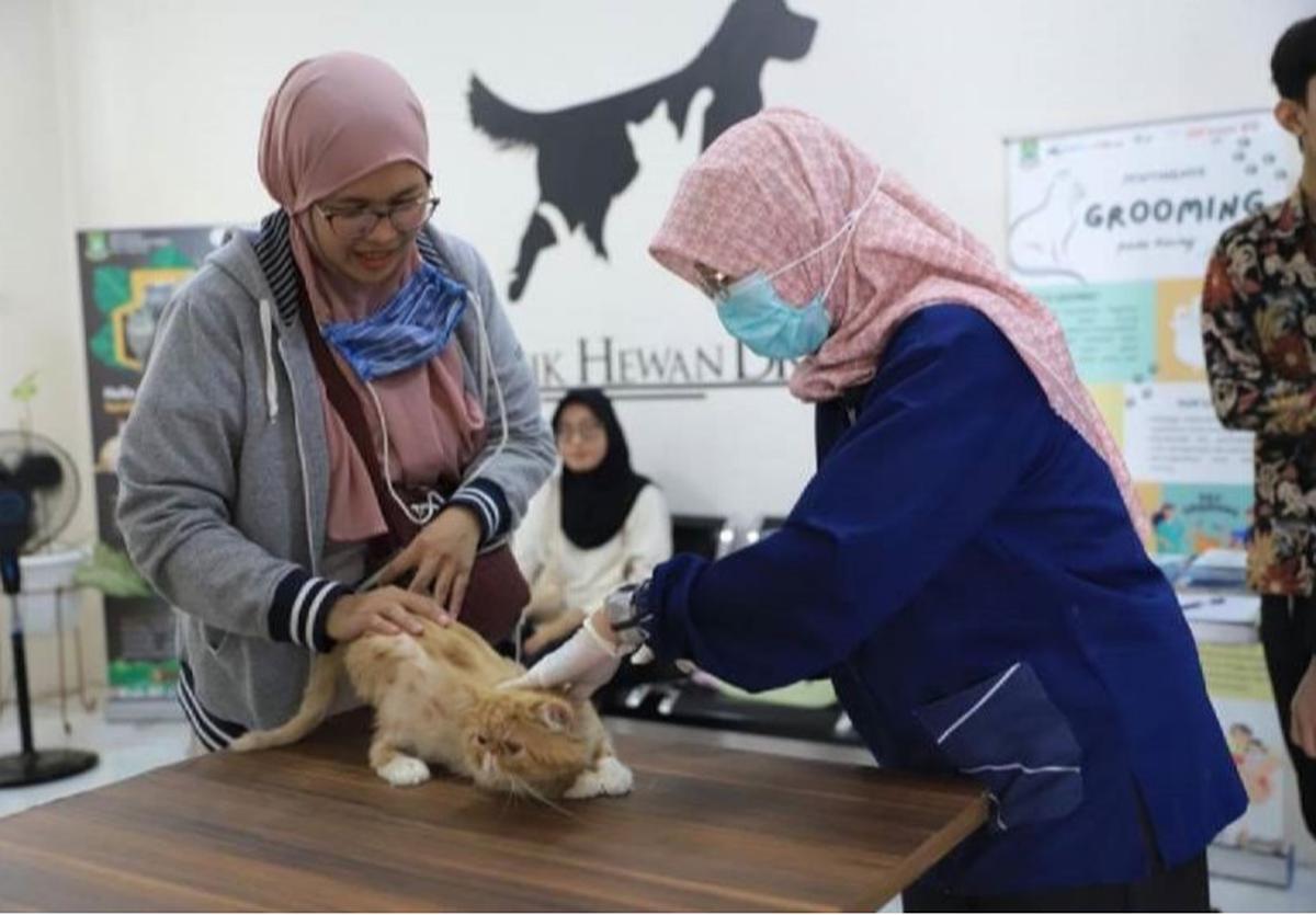 Vaksinasi Rabies Gratis di Tangerang: Lindungi Hewan Kesayangan Anda!
