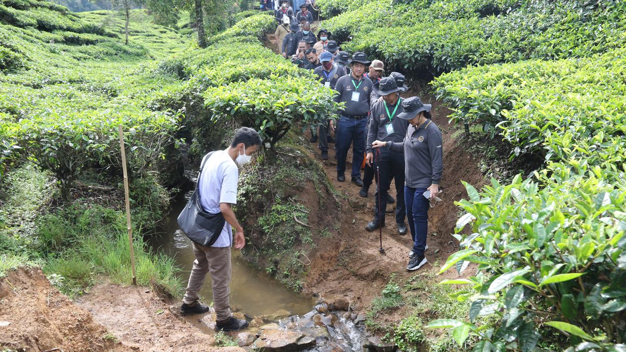 Aksi Penyelamatan Kawasan Puncak Demi Meminimalisir Dampak Banjir