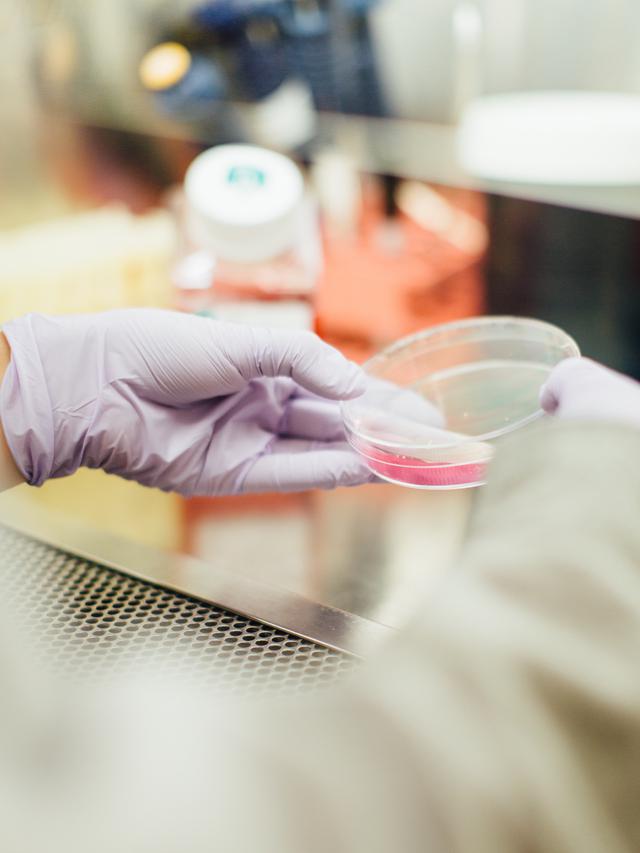 Ilustrasi penumaan obat kanker/unsplash @drew_hays