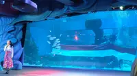 Jakarta Aquarium dan Safari (JAQS) lakukan pengibaran bendera Merah Putih dengan panjang mencapai 25 meter di bawah laut. (dok. Liputan6.com/Farel Gerald)