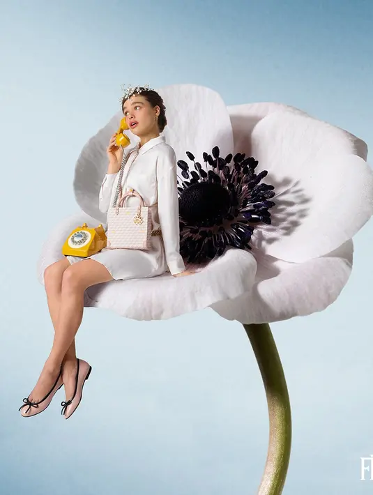 Tas-tas yang bertengger di dahan, tergantung di pokok anggur, bersandar di daun, dan kopling, seperti merayakan hari-hari indah. Foto: Document/Fauré Le Page.