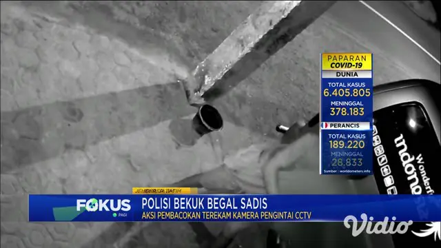 Enam pelaku begal sadis yang sudah beraksi di 15 TKP berbeda, akhirnya berhasil diringkus polisi. Mereka digelandang Unit Reskrim Polres Jember, Jawa Timur.