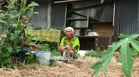 Rumah Hancur Diterjang Badai, Ada yang Mau Bantu Nenek 70 Tahun?