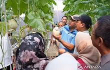 Tahukah Anda? Jakarta Timur Gencarkan Penghijauan dan Ketahanan Pangan, Ini Manfaatnya!
