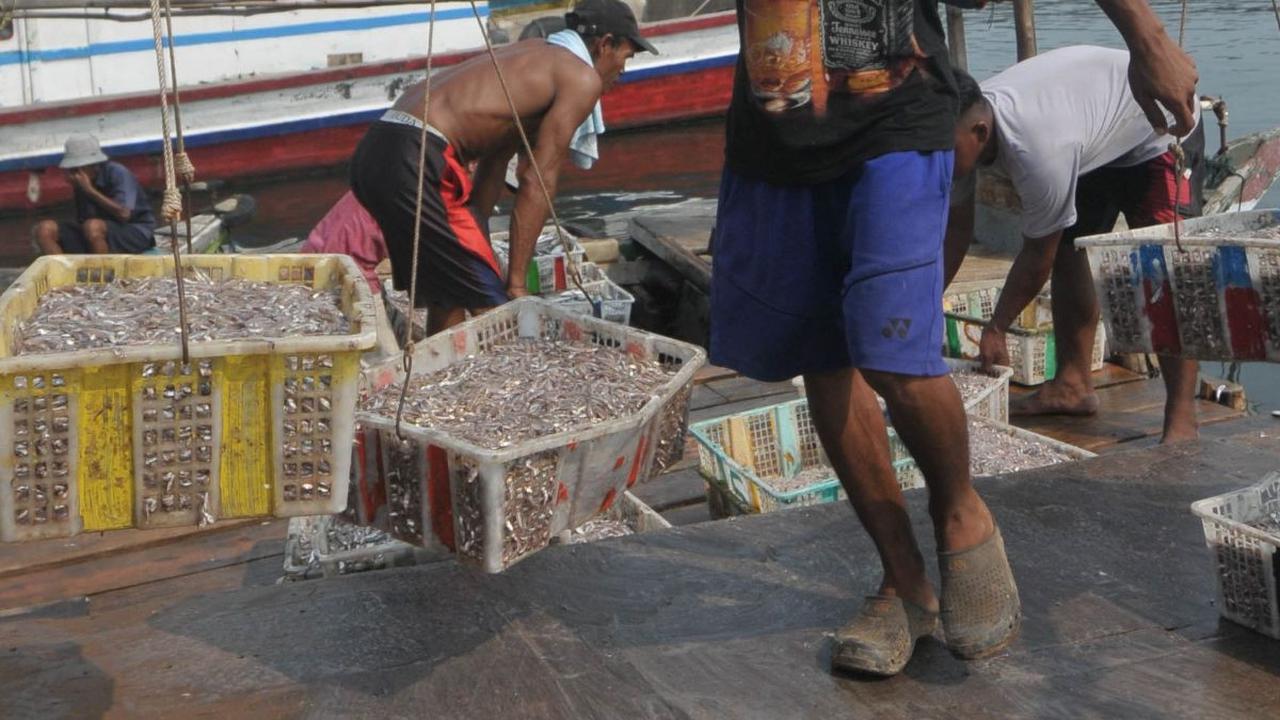 Hal itu diungkap dalam&nbsp;sebuah penelitian yang dimuat pada jurnal BMJ Global Health, sebagaimana dilansir dari Antaranews, pada April 2024.&nbsp;Merdeka.com/Imam Buhori
