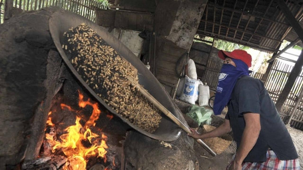 Usai Lebaran, pembuat kacang sangrai raup untung berlipat