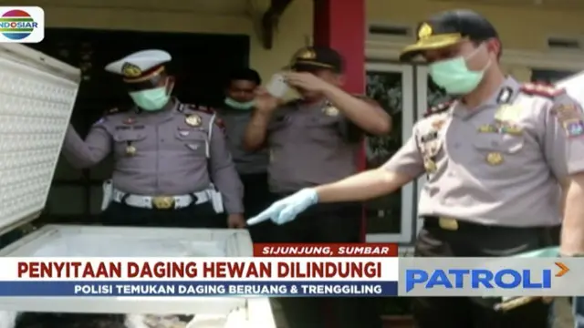 Seorang warga Sijunjung ditangkap polisi karena menjual puluhan kilogram daging hewan yang dilindungi, yakni daging beruang dan trenggiling.