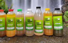 Tahun 2024 Masih Takut Minum Jamu? Wajib Coba Moe Djamoe, Dijamin Ketagihan!
