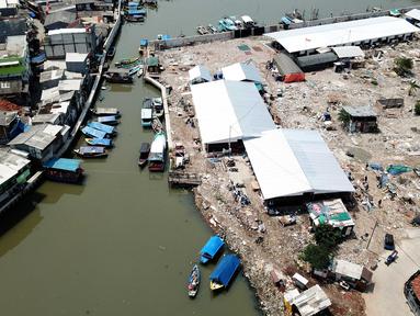 6600 Desain Kampung Akuarium HD Terbaik