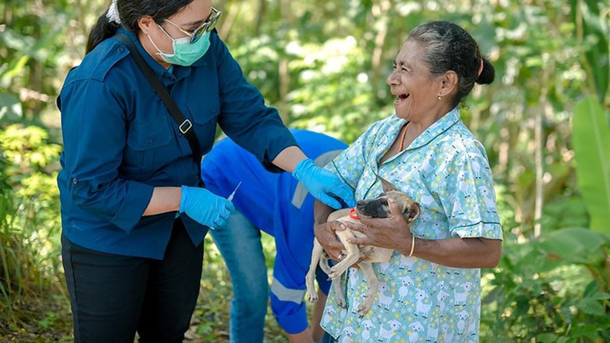 Puji Kepemimpinan Indonesia Tangani Wabah Rabies, Australia Tambah ...