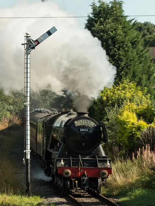 Lokomotif uap Flying Scotsman berjalan di sepanjang jalur East Lancashire Railway di dekat stasiun Irwell Vale, Inggris, 5 September 2018. Menjalani proyek restorasi sekitar 4,2 juta pound, kereta uap ini kembali ke jalurnya pada 2016. (OLI SCARFF/AFP)