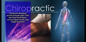 Seluk Beluk Chiropractic.