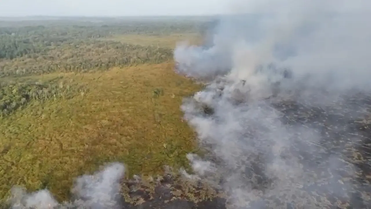 Api Kembali Muncul di TN Way Kambas, Total 774 Hektare Terbakar