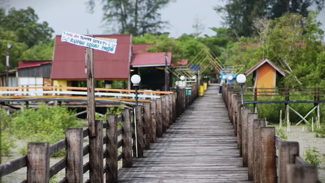 Mangrove