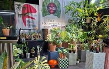 Mengintip Fakta Unik: Variegata dan Kita 2025 Pererat Komunitas Pencinta Tanaman Hias