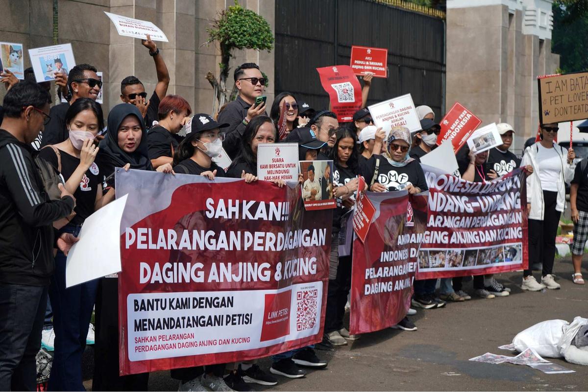 Aktivis Hewan Luapkan Kekecewaan RUU Perlindungan Anjing-Kucing Gagal Masuk RUU Prolegnas