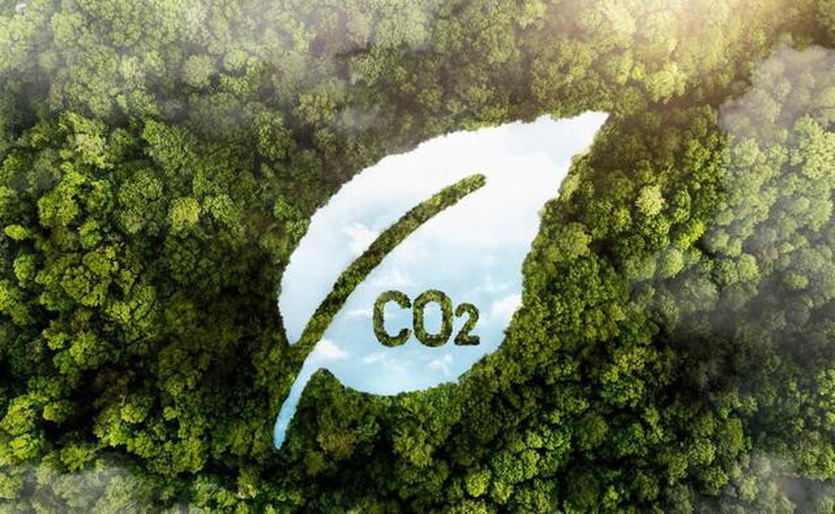 Laporan Liputan6.com dari London: IndonesiaBergabung dengan The Coalition to Grow Carbon Markets