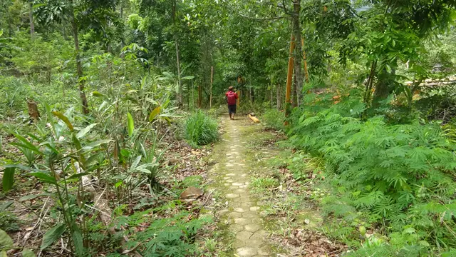 Trek di Gunung Mbeliling Flores NTT