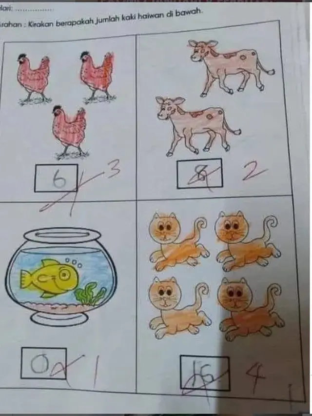 6 Jawaban Murid di Soal Mencocokkan Ini Nyeleneh, Guru Jadi Bingung
