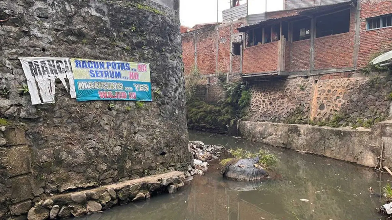 Ratusan ikan mati di Sungai Braholo (Liputan6.com/Istimewa)