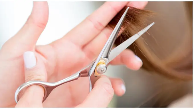 Courtesy ShutterStock.com