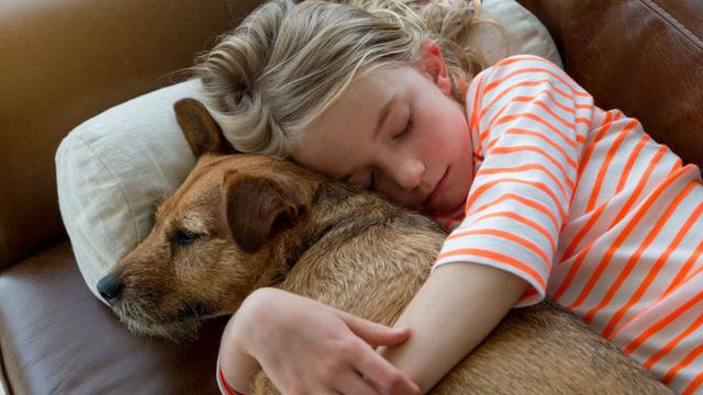 Ketahui 6 Fakta Tak Terduga dari Seekor Anjing