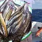 6 Potret Tangkapan Hasil Mancing Ini Bikin Mata Melotot (sumber: Instagram/mancingpost)