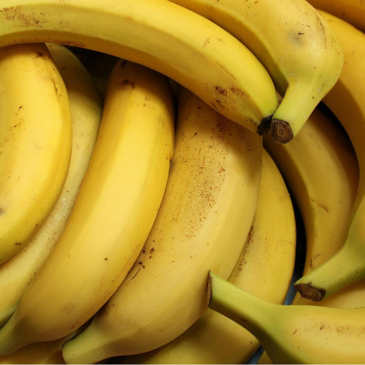 Ilustrasi Pisang (©Pixabay)