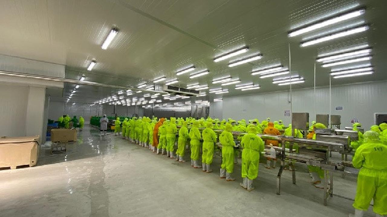 Pabrik ke-8 milik PT Panca Mitra Multiperdana Tbk (PMMP) di Situbondo, Jawa Timur (Dok: Istimewa)