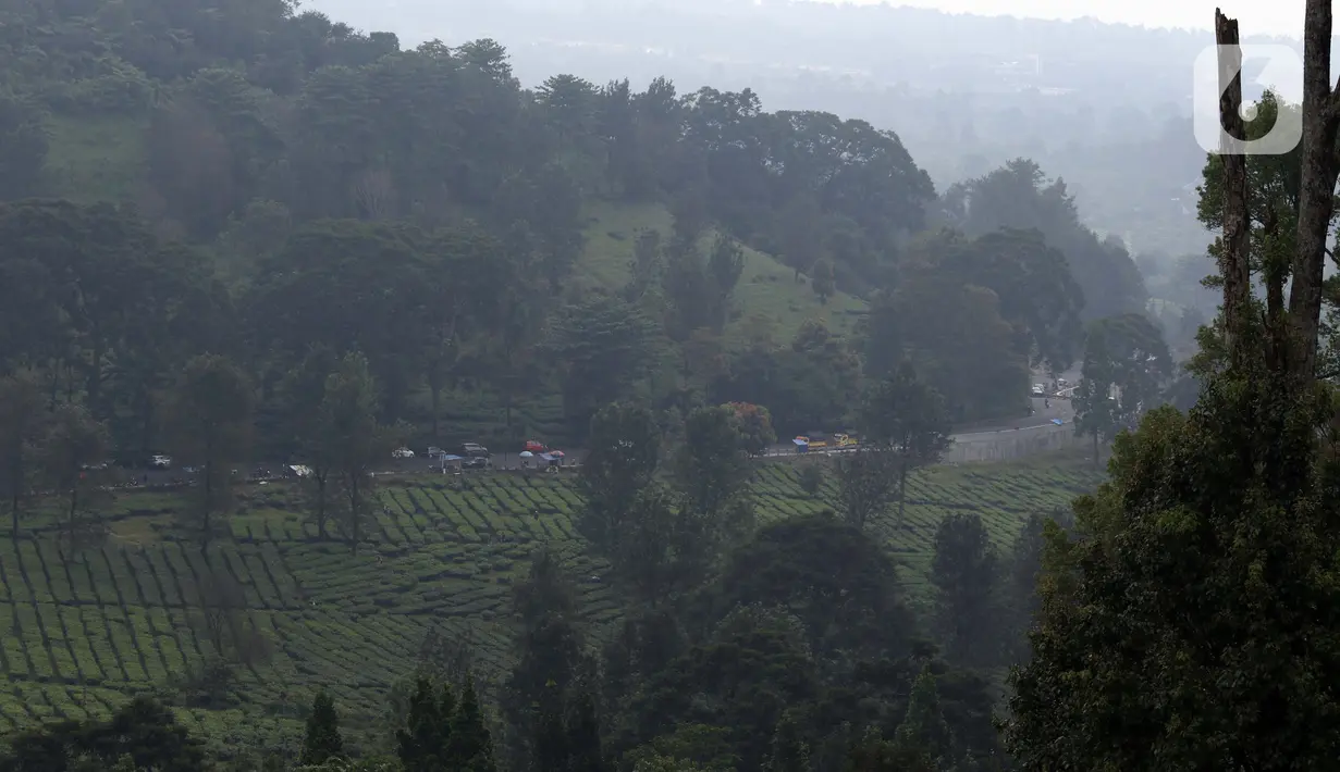 Suasana Jalan Raya Puncak, Kabupaten Bogor, Jawa Barat, Minggu (19/4/2020). Arus lalu lintas di kawasan Puncak lengang seiring penetapan status Pembatasan Sosial Skala Besar untuk Kabupaten dan Kota Bogor pada Rabu (15/4) lalu. (Liputan6.com/Helmi Fithriansyah)
