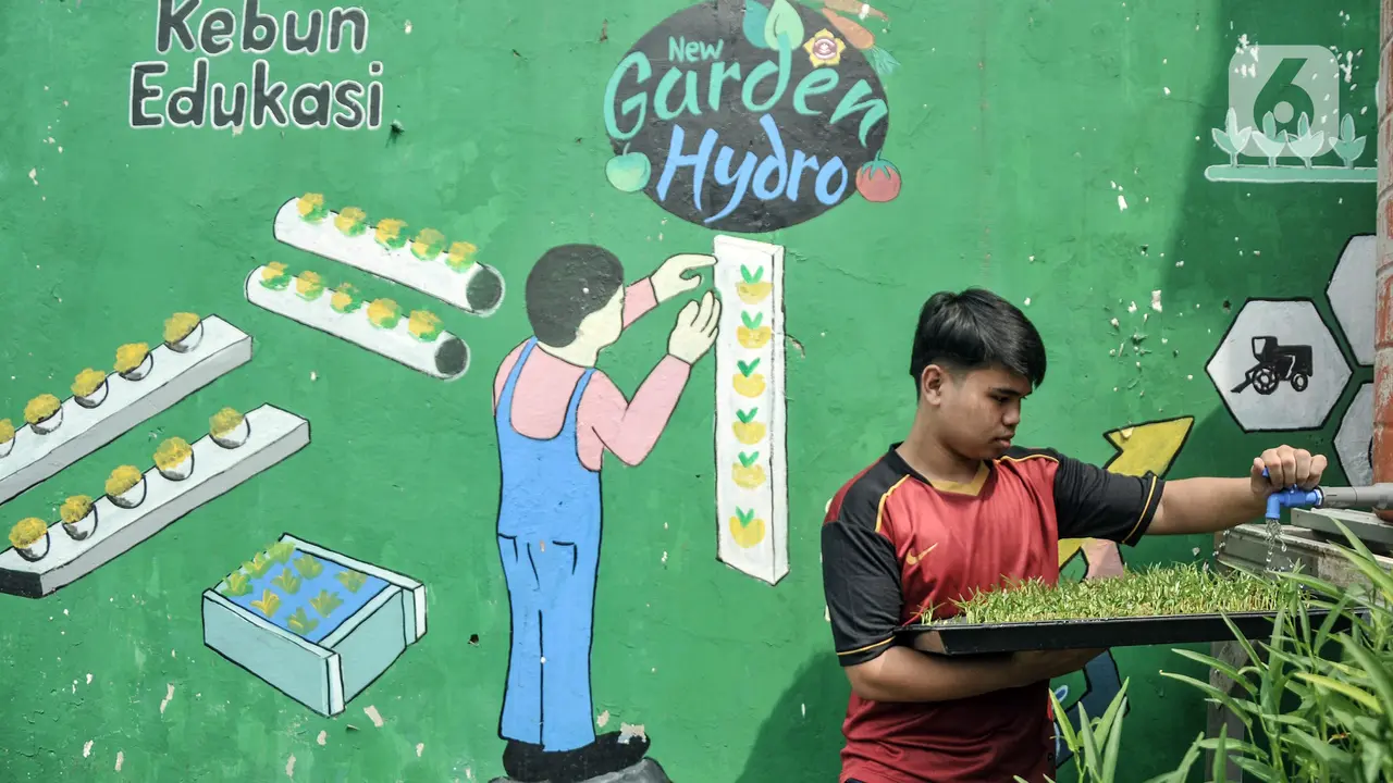 Budi Daya Sayuran Hidroponik Menjadi Produk Ekonomis