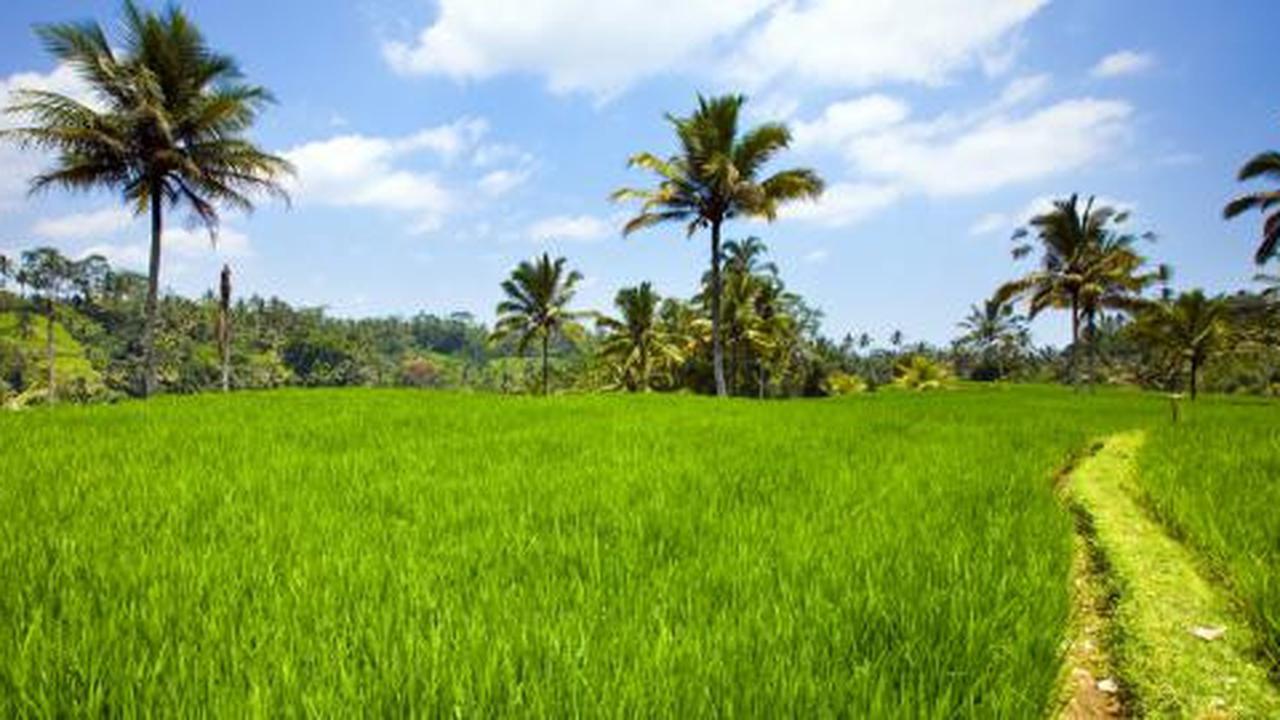 Kota mengepung desa
