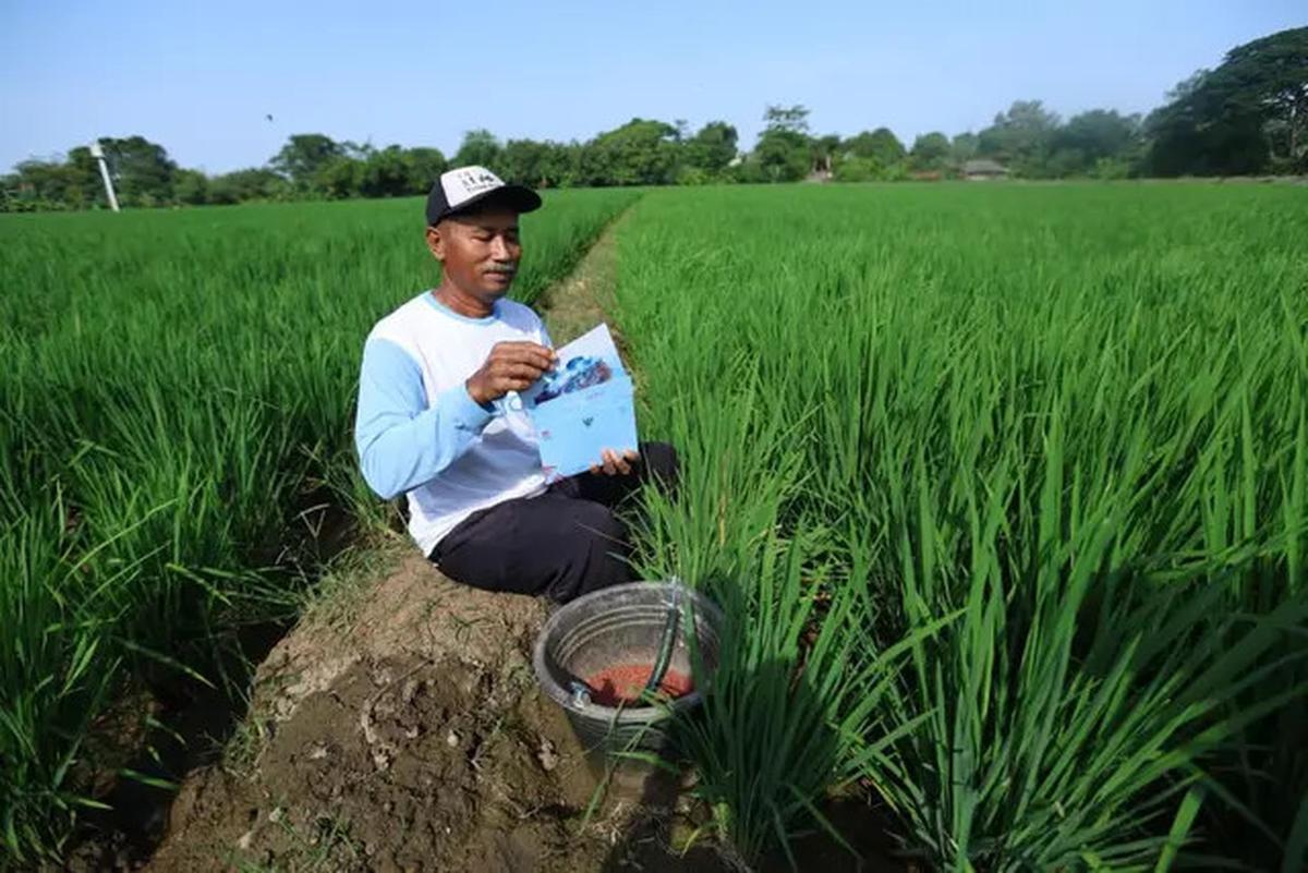 Dari Jalanan, Sawah, hingga Pantai: Warga Bersiap Penuhi Undangan Presiden ke Istana Merdeka
