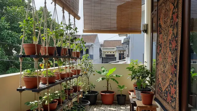 9 Inspirasi Edible Garden Buah Mini di Teras Sempit, Lahan Terbatas Jadi Kebun
