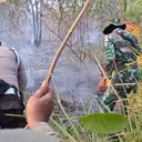 Belum Padam, Kebakaran di Taman Nasional Way Kambas Capai 673,4 Hektare