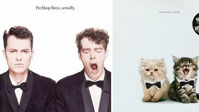Gaya Kucing Saat Parodikan Cover Album Ini Bikin Gemes